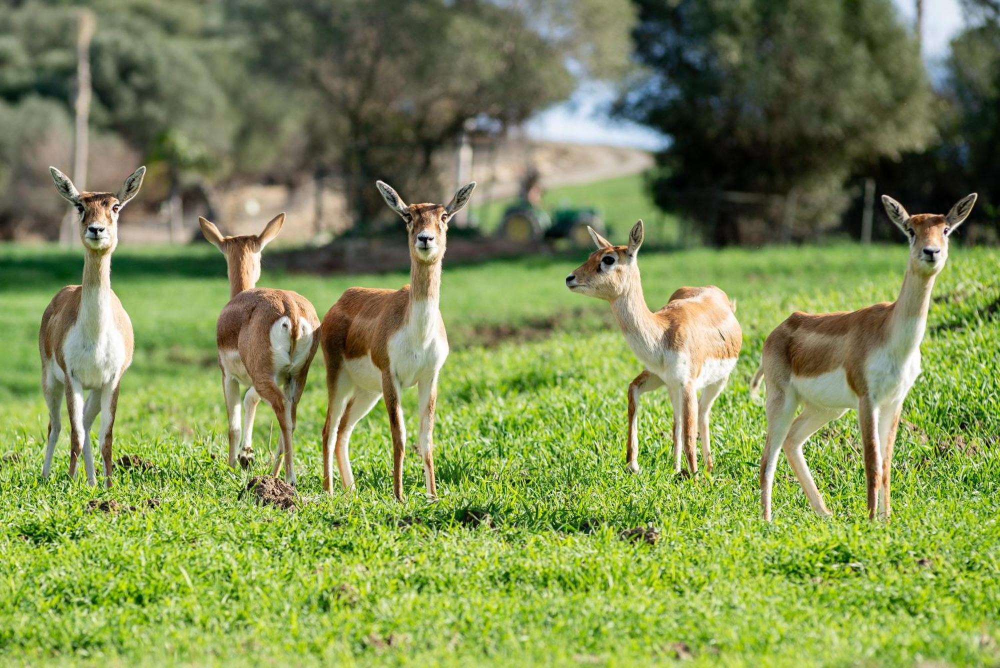 히메나 델 라 프론테라 Cortijo rural las aves 빌라 외부 사진